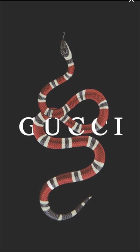 gucci foto tumblr|gucci aesthetic background.